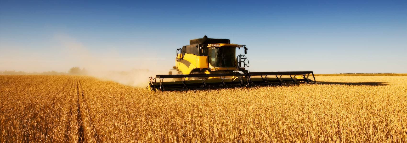 Ринок землі